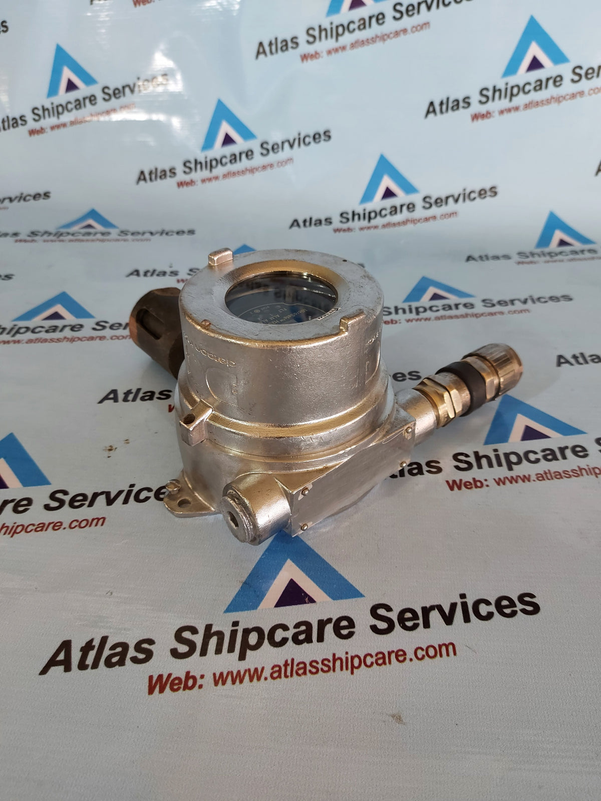 DETCON TP-524D MICROSAFE H2S GAS SENSOR